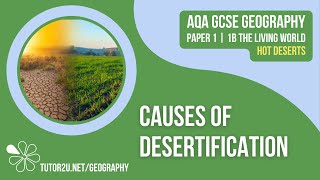 Causes of Desertification  AQA GCSE Geography  Hot Deserts 8 [upl. by Latoyia793]