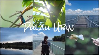 Discover Pulau Ubin on Bike [upl. by Laurentia813]