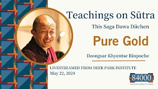 Teachings on Sūtra  Dzongsar Khyentse Rinpoche on Pure Gold [upl. by Hazlip477]