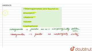 Heterogametes are found in  12  TEST 1  BIOLOGY  AAKASH INSTITUTE ENGLISH  Doubtnut [upl. by Eyahsal]