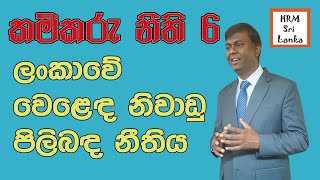 කම්කරු නීතිය 06  වෙළෙඳ නිවාඩු පිලිබඳ නීතිය කම්කරුනීති  මානවසම්පත්කළමනාකරණය [upl. by Remliw881]