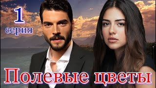 Полевые цветы 1 серия на русском языке Новый турецкий сериал с Акын Акынёзю и Аслыхан Мальбора [upl. by Lilak]