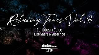 Caribbean Spice  Relaxing Tunes Vol 8 [upl. by Ttoille227]