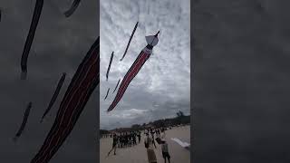 dragon kite from bali island [upl. by Ailem799]