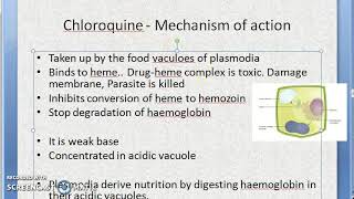 Pharmacology 899 b Chloroquine AntiMalarial Anti Malarial Loading dose drug malaria treatment [upl. by Libnah304]