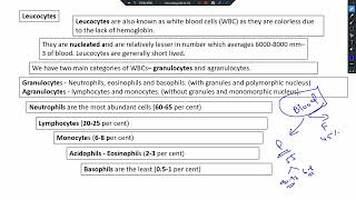 chapter  15  body fluids and circulation  NEET 2025 NCERT based [upl. by Akinajnat]