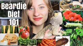 What to Feed Bearded Dragons [upl. by Arlinda436]