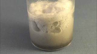 Catalytic Decomposition of Cellulose Cotton Fibers by Hydrogen Peroxide H2O2 [upl. by Eirahs]