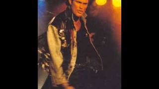 David Hasselhoff  In Stereo [upl. by Dryden]