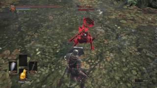 Dark Souls 3  Yellowfinger Heysel uses Chameleon [upl. by Olivia151]