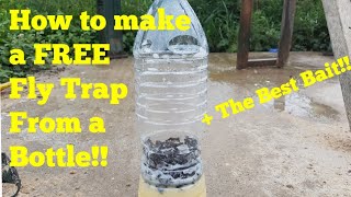 Step by step How to Make a diy fly trap for Free [upl. by Wieren135]