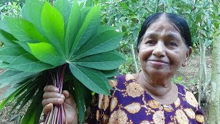 Healthy Village Foods ❤ Traditional Manioc Cassava Leaves Recipe prepared in my Village by my Mom [upl. by Petit]