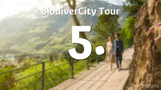 🇬🇧 517 GREEN GIANTS IN THE CITY  BiodiverCity Tour [upl. by Ahsiri796]