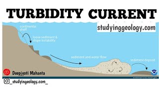 What is a turbidity current  Turbidity current  studyinggeologycom [upl. by Eissak426]