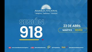 Siga en vivo la Sesión 918 del Pleno de la Asamblea Nacional del Ecuador [upl. by Lissi311]