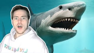 Fish Biologist reacts to quotMegalodon Sightingsquot [upl. by Clarissa921]