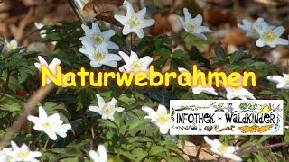 Nature Flow  Naturwebrahmen [upl. by Meenen]