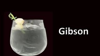 Gibson Martini Cocktail Drink Recipe HD [upl. by Januisz]