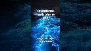 Biolumineszenz  die Lichter der Natur 💡bioluminiscencia nature wissenswert goodtoknow [upl. by Saunders216]