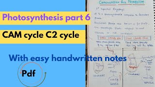 CAM cycle C2 cycle l with handwrittenotes biology stepbioliss [upl. by Jereme54]