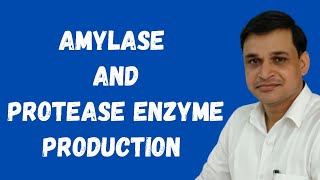 How to produce amylase and protease enzymes using microorganisms [upl. by Eiramit]