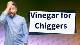 Does vinegar work on chiggers [upl. by Anattar922]