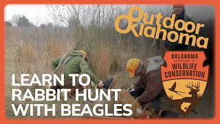 Learn how to rabbit hunt with beagles [upl. by Epps]