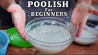 How to Make Poolish for Beginners  Easy amp Fast [upl. by Delmor]