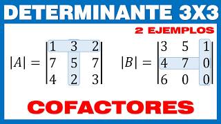 Determinante 3x3 Método de Cofactores [upl. by Htebiram]