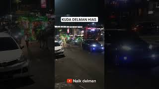 kuda delman hias [upl. by Dorice]