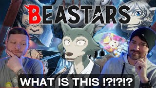 BEASTARS OPS FIRST TIME REACTION [upl. by Yddur744]