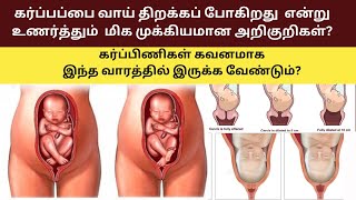 cervix dilation chart  How long does it take to dilate from 1 to 10 Cervix dilation chart fingers [upl. by Aubarta91]