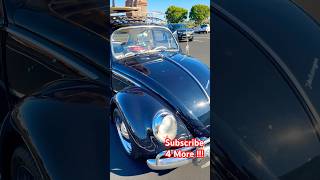 VW Bug❤️😎 shorts classiccar vintagecars classiccars vintage car cars carshow short vwbug [upl. by Leinehtan558]