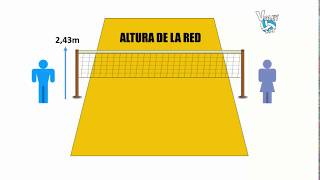 REGLAS DEL VOLEY PLAYA [upl. by Leirud]