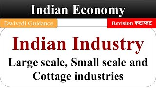 Indian Industry Large Scale Industries Small Scale Industries Cottage Industries Indian Economy [upl. by Goulette]