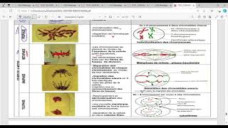 biologie cellulaire s1 BCG Partie métose [upl. by Terese643]