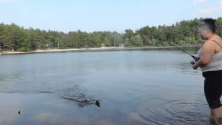 Large Mouth Bass fishing Myles Standish State Park [upl. by Cristiona]