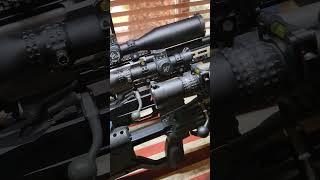 My 3 budget rifles 223 300blackout 22arc shorts [upl. by Pardner]