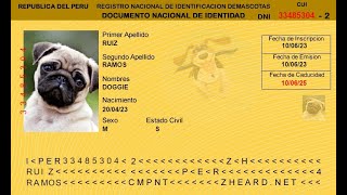 Crea un DNI online para tu mascota  DNI Zheard [upl. by Hayman272]