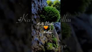 darshana song whatsapp status darshana shorts reels whatsappstatus [upl. by Ginsburg77]