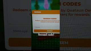 3 codes for you roloxplsdonatedonationspleasedonate [upl. by Alocin]