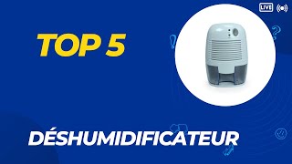 Les 5 Meilleur Déshumidificateur 2024  Top 5 Déshumidificateur Modèles [upl. by Limay969]