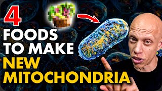 4 Foods to Make New Mitochondria Scientific Proof  Mastering Diabetes [upl. by Daj]