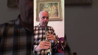 Le Reel du Bonhomme A 1415 Clarinet B♭ Selmer lygeros music clarinet learn shorts like [upl. by Tommy]