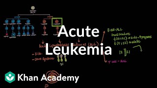 Acute leukemia  Hematologic System Diseases  NCLEXRN  Khan Academy [upl. by Jacy]