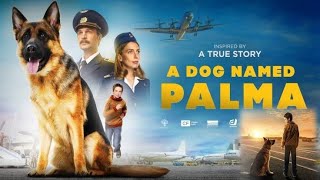 A Dog Named Palma Full Movie Hindi Dubbed Facts [upl. by Eniluqcaj]