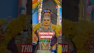 KUNDRATHUR MURUGAN TEMPLE youtube shorts youtubeshorts murugan temple kundrathur chennai [upl. by Vittoria290]