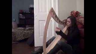 quotLa Serenissimaquot by Loreena McKennitt on folk harp [upl. by Llerruj340]