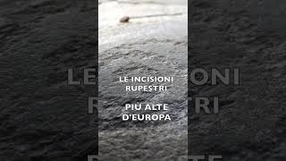 La grande scoperta archeologica sulle Alpi italiane le incisioni più alte shorts archeologia [upl. by Oakleil]