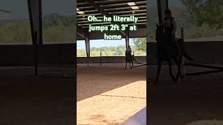 The jumping phase of our first rally didnt go as planned equestrian horse eventing jumping [upl. by Midan]